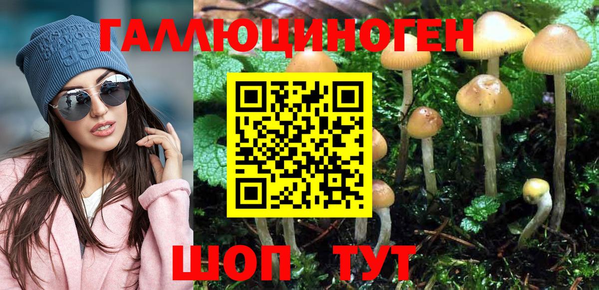 Псилоцибиновые грибы Magic Shrooms Орск